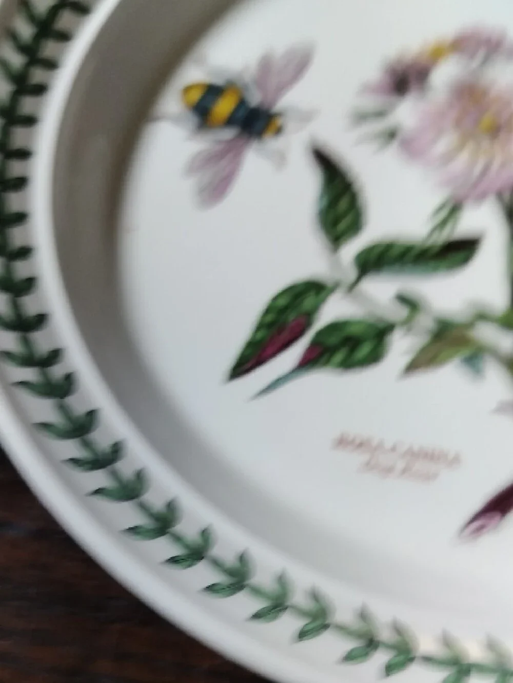 Port Meirion Notanical Floral Dinner Plate in White with Pink Rose Motif Vintage